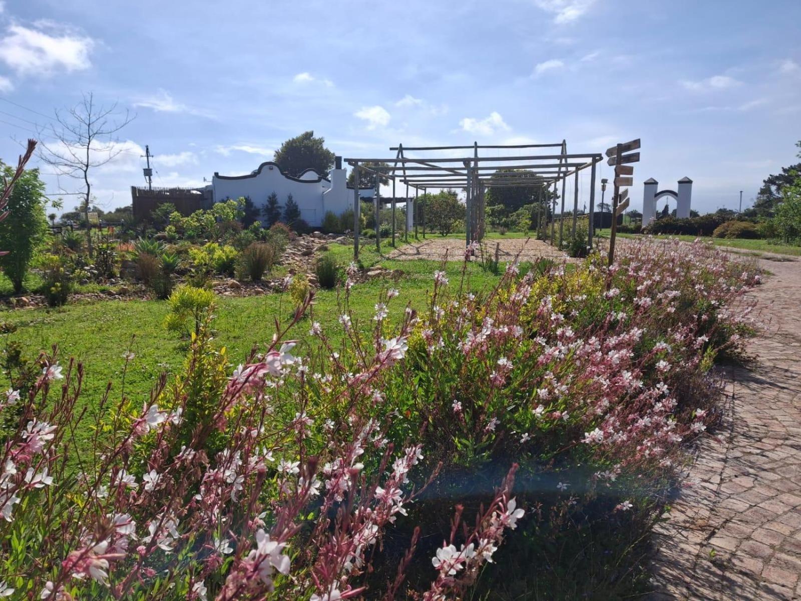 Dunkes Organic Equestrian Estate Apartment George Exterior foto